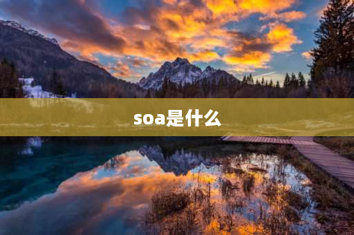 soa是什么 soa跟sob有啥区别？