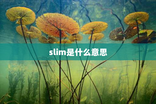 slim是什么意思 slimming和slim的区别？