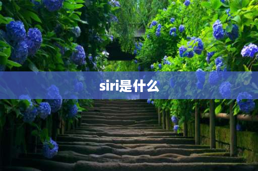 siri是什么 苹果手机siri功能是什么？