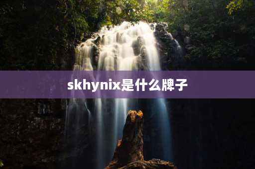 skhynix是什么牌子 skhynix内存是什么牌子？