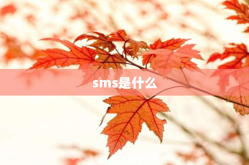 **s是什么 mms发来的短信是什么？