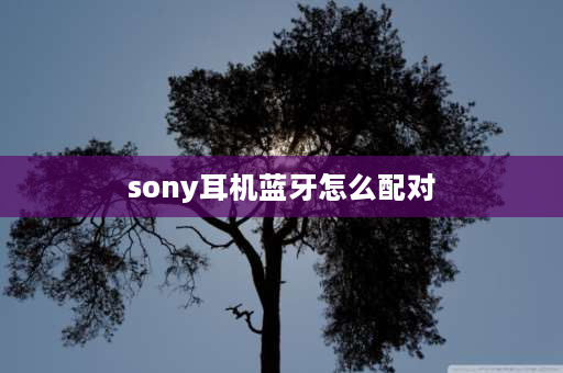 sony耳机蓝牙怎么配对 sony蓝牙耳机配对按键是哪个？