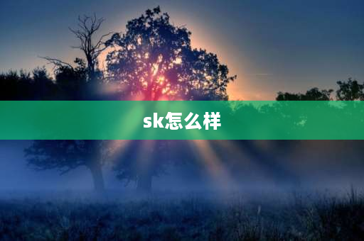 sk怎么样 sk牌果汁饮料怎么样？