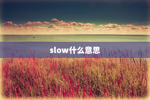 slow什么意思 quick是什么意思，它的反义词是什么？