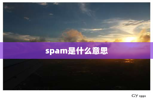 spam是什么意思 午餐肉的由来和典故？