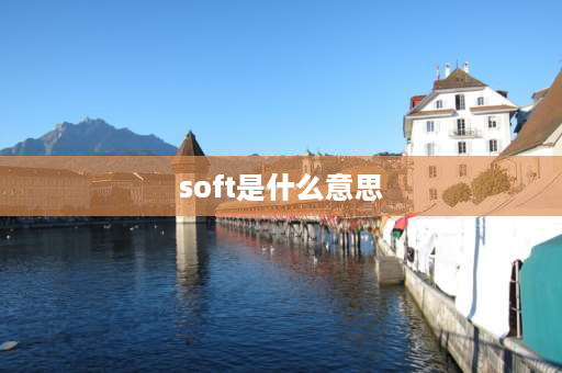 soft是什么意思 soft的音标是什么？