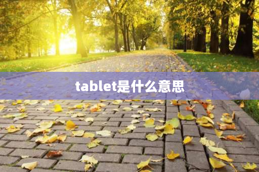 tablet是什么意思 应用程序打开时总是提示已停止工作什么原因？