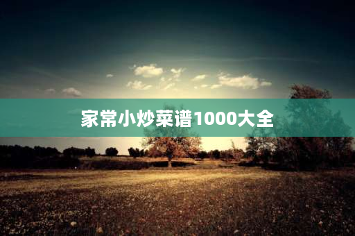 家常小炒菜谱1000大全 什么家常小炒好吃？怎么做？ 