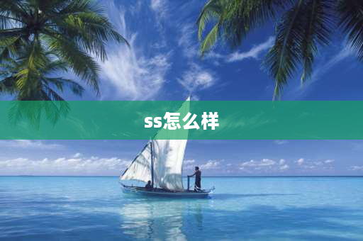 ss怎么样 双星ss 81优缺点？