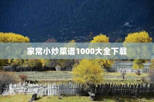 家常小炒菜谱1000大全下载 小红书菜谱家常菜做法？