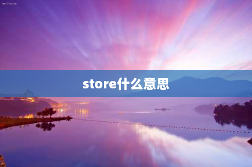 store什么意思 Store什么意思？