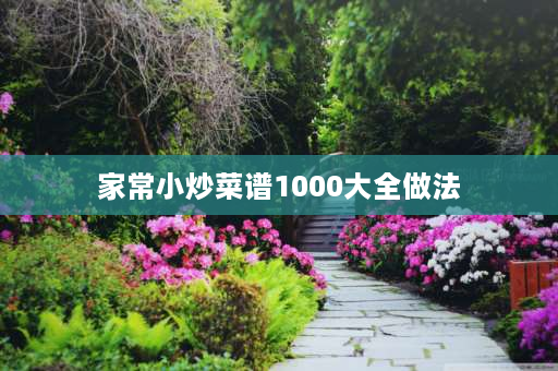 家常小炒菜谱1000大全做法 陕北家常菜做法？