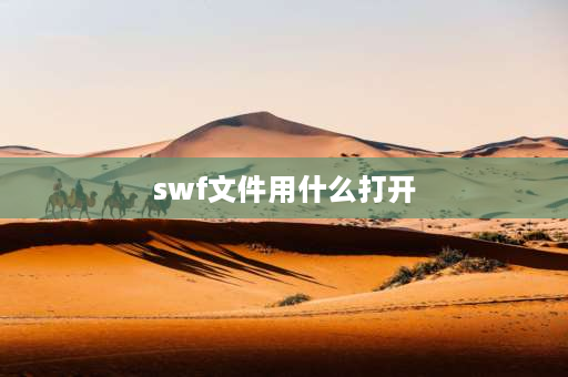 swf文件用什么打开 swf用Word能打开吗？