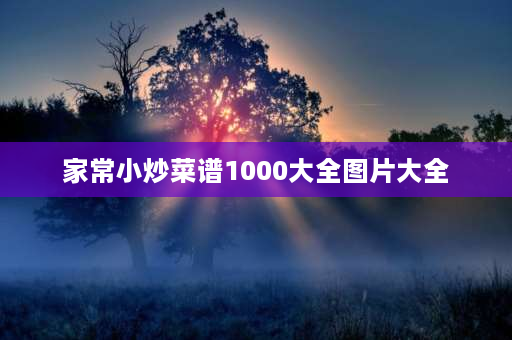 家常小炒菜谱1000大全图片大全 家常炒菜的标题？