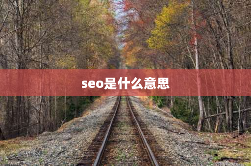 seo是什么意思 网站专业术语中seo是什么意思？