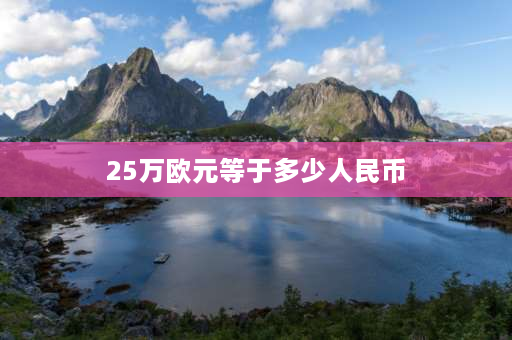 25万欧元等于多少人民币 30万欧元多少人民币？