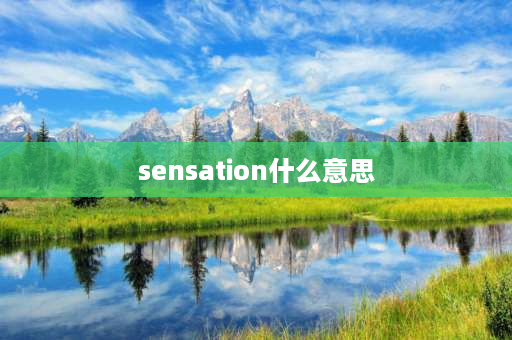 sensation什么意思 sensitive词根？