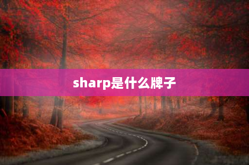 sharp是什么牌子 SHARP这是什么牌子电视？