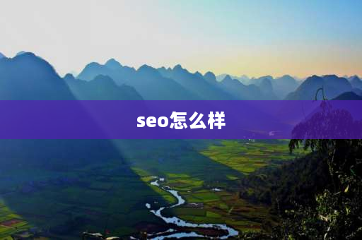 seo怎么样 外贸seo效果怎么样？