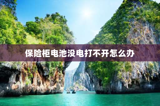 保险柜电池没电打不开怎么办 保险柜没电了充电盒没有怎么办？