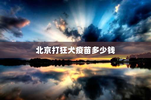 北京打狂犬疫苗多少钱 北京2022禁养犬标准？