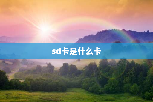 sd卡是什么卡 没有sd卡是什么意思？