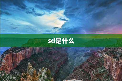 sd是什么 手机sd是什么？