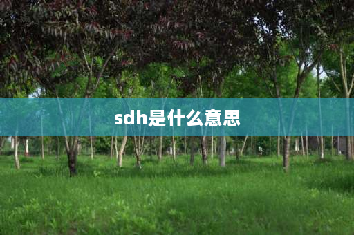 sdh是什么意思 SDH是什么意思？