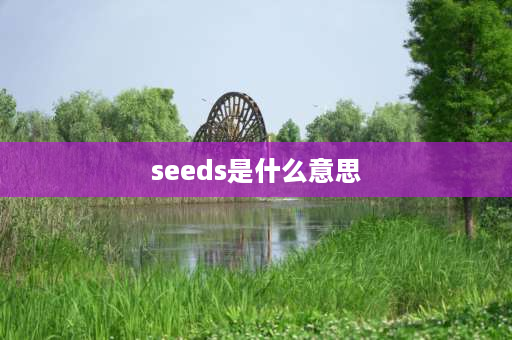 seeds是什么意思 MinecraftSeeds是什么意思？