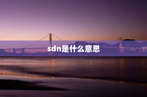 sdn是什么意思 sdn中l2和l3是什么意思？