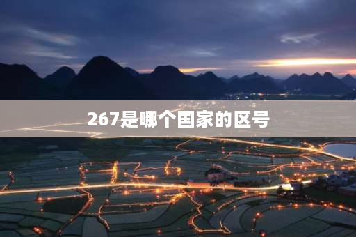 267是哪个国家的区号 0599是哪里的区号？