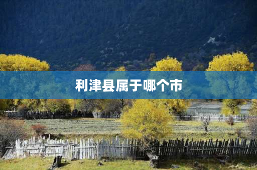 利津县属于哪个市 东营市利津县人口？