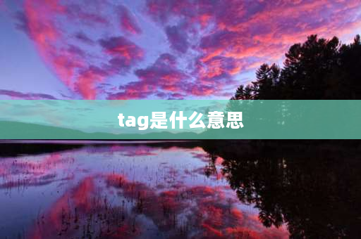 tag是什么意思 TAG代表什么意？