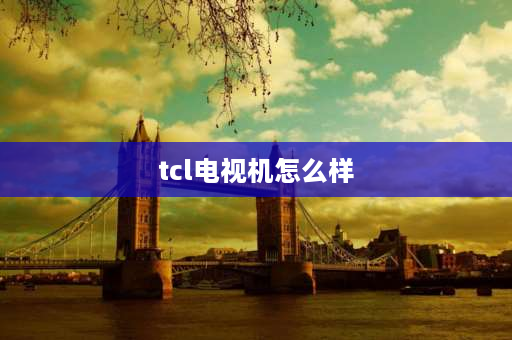 tcl电视机怎么样 王牌电视机质量怎么样？