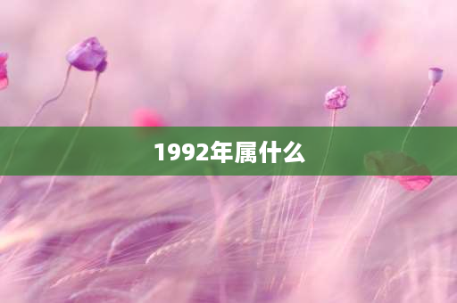 1992年属什么 1992年是不是鼠年？