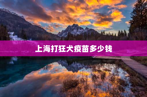 上海打狂犬疫苗多少钱 宠物从上海空运到厦门办宠物检疫证要多少钱？