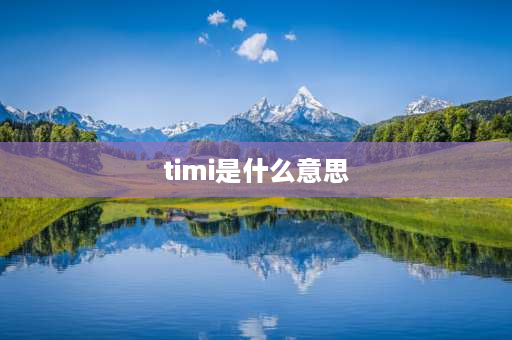 timi是什么意思 timikids童装怎么样？