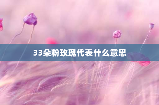 33朵粉玫瑰代表什么意思 33朵红玫瑰花代表什么含义？