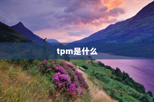 tpm是什么 没有可用的tpm是什么意思？