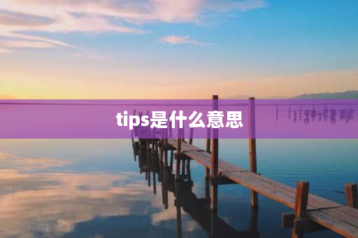 tips是什么意思 TIPS是什么意思？