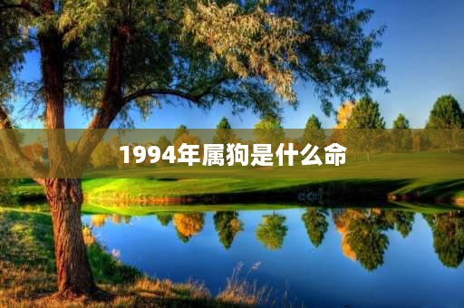 1994年属狗是什么命 94年属啥的？