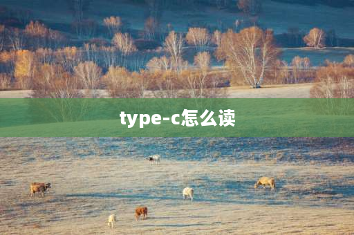 type-c怎么读 typec为什么叫typec？