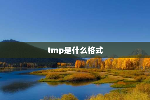 tmp是什么格式 tmp文件如何转换格式apk？