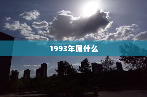 1993年属什么 1993万年历属相？