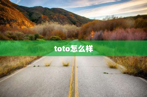 toto怎么样 toto大肚盆优缺点？