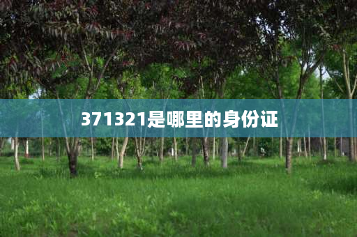 371321是哪里的身份证 371003是哪里的身份证？