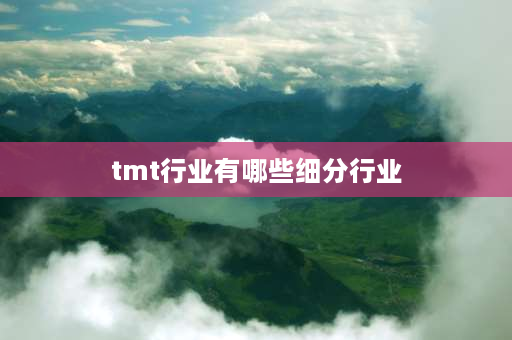 tmt行业有哪些细分行业 科技指数基金是什么意思？