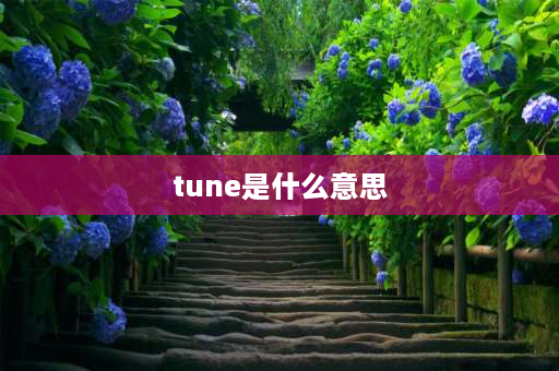 tune是什么意思 tone和tune，这两个单词有什么区别吗？