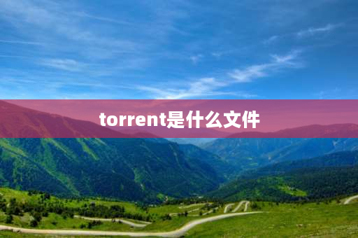 torrent是什么文件 torrent文件怎么保存？