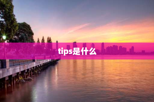 tips是什么 tip是什么的缩写意思？